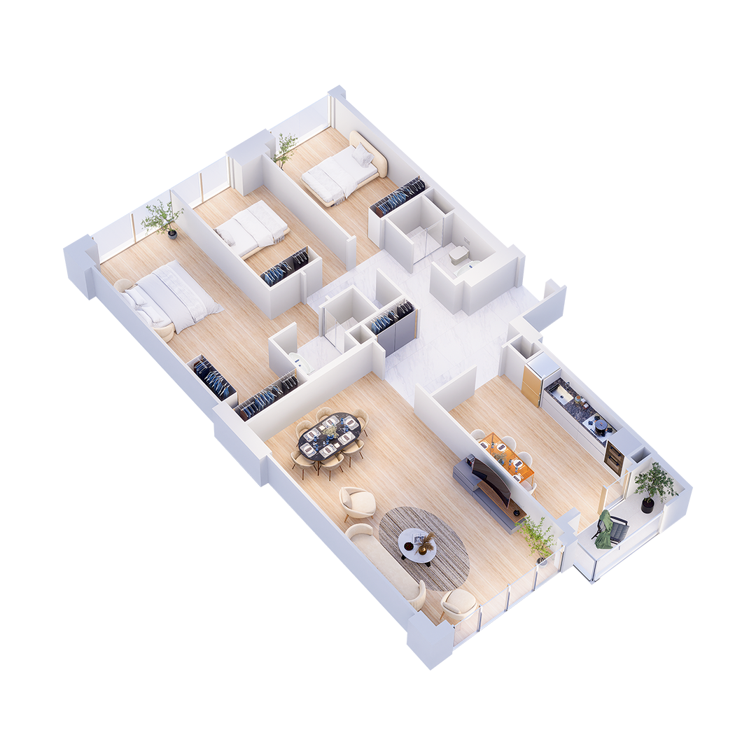 layout